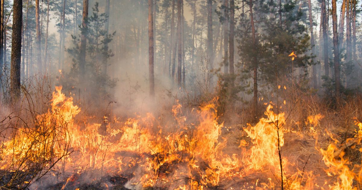 Incendio forestal Igüeña 2026 | Portal Bierzo