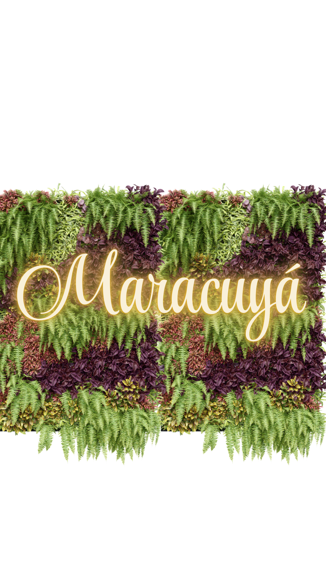 Cafetería Maracuyá | Ponferrada | Portal Bierzo