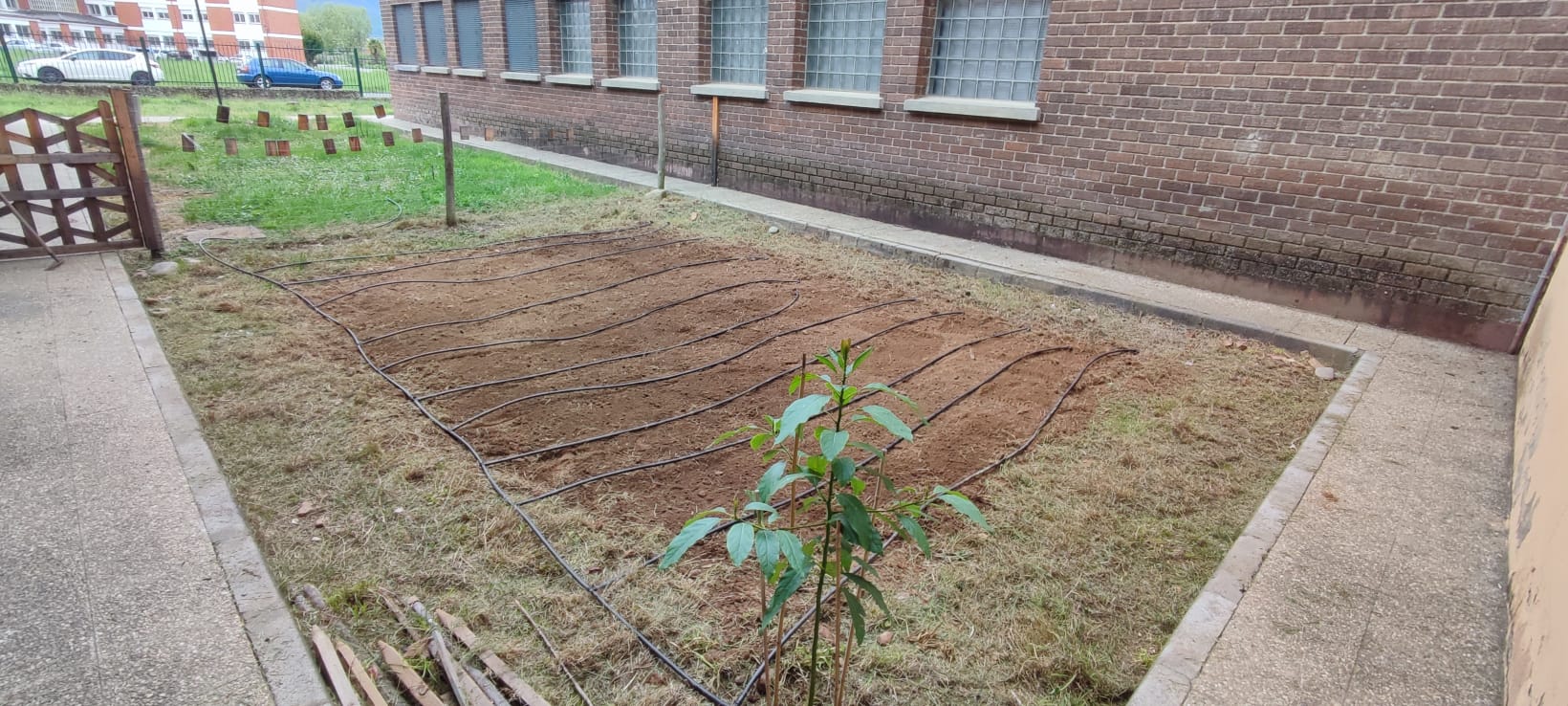 Colegios Ponferrada III Estrategia de Educación Ambiental de la Junta de Castilla y León | Portal Bierzo