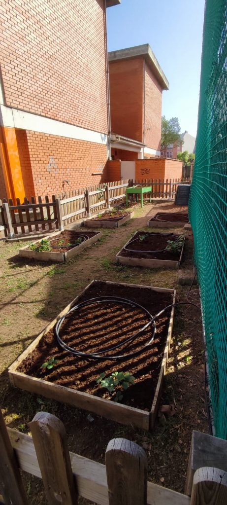 Colegios Ponferrada III Estrategia de Educación Ambiental de la Junta de Castilla y León | Portal Bierzo