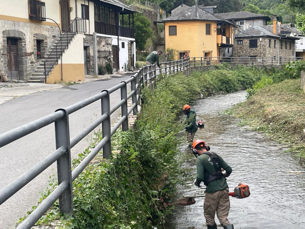 La Escuela Taller "Pablo Voces" culmina el desbroce técnico y la adecuación forestal en el río Oza a su paso por Valdefrancos