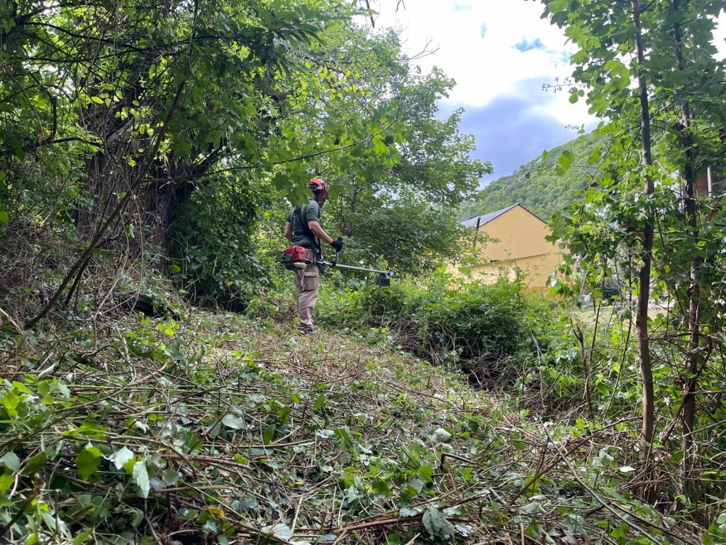 La Escuela Taller "Pablo Voces" culmina el desbroce técnico y la adecuación forestal en el río Oza a su paso por Valdefrancos