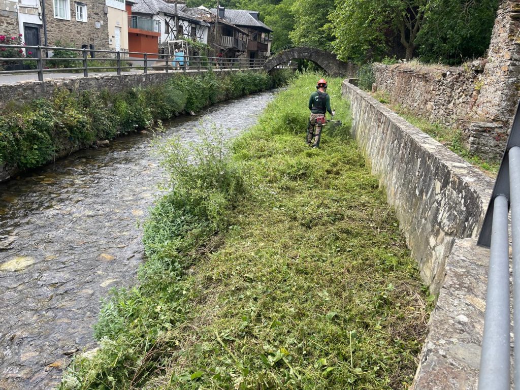 La Escuela Taller "Pablo Voces" culmina el desbroce técnico y la adecuación forestal en el río Oza a su paso por Valdefrancos