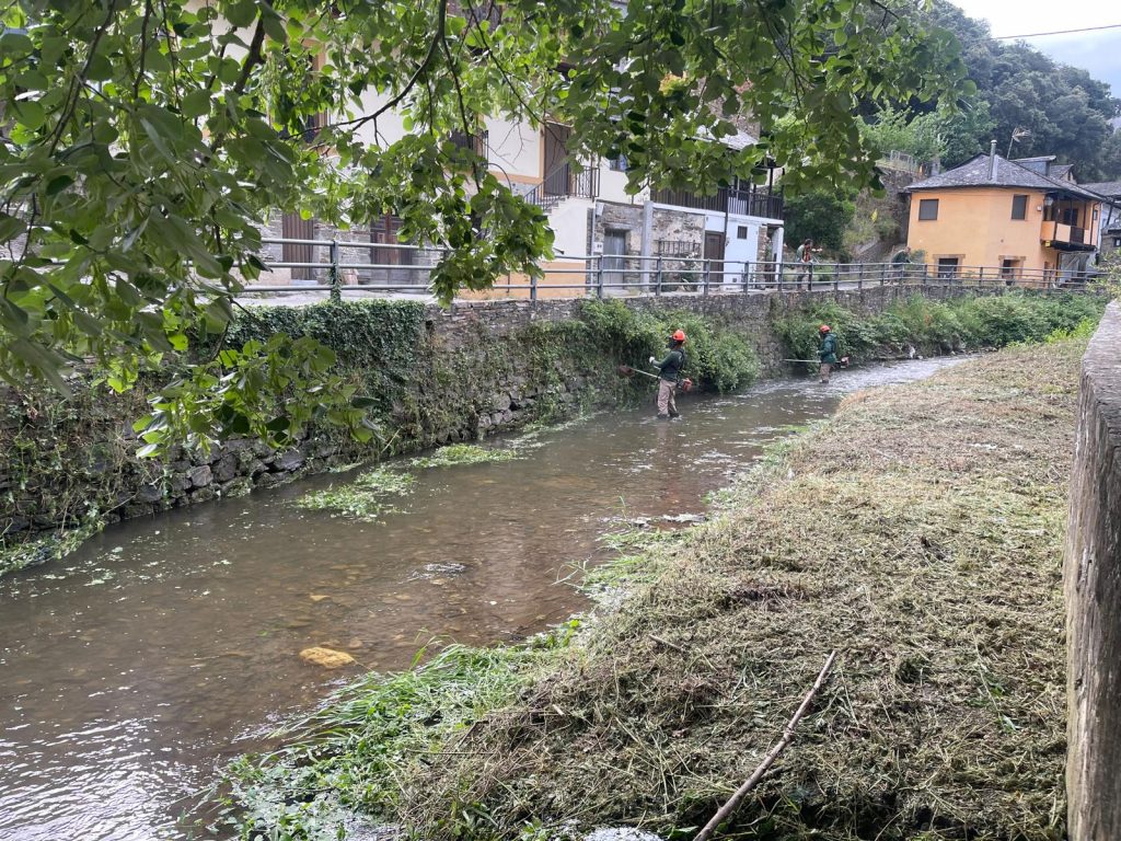 La Escuela Taller "Pablo Voces" culmina el desbroce técnico y la adecuación forestal en el río Oza a su paso por Valdefrancos