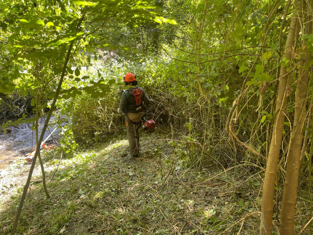 La Escuela Taller "Pablo Voces" culmina el desbroce técnico y la adecuación forestal en el río Oza a su paso por Valdefrancos