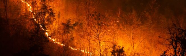 Alerta por incendios forestales | Portal Bierzo