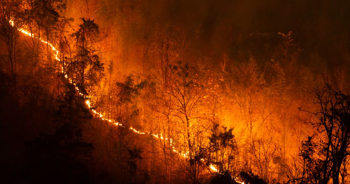 Alerta por incendios forestales | Portal Bierzo