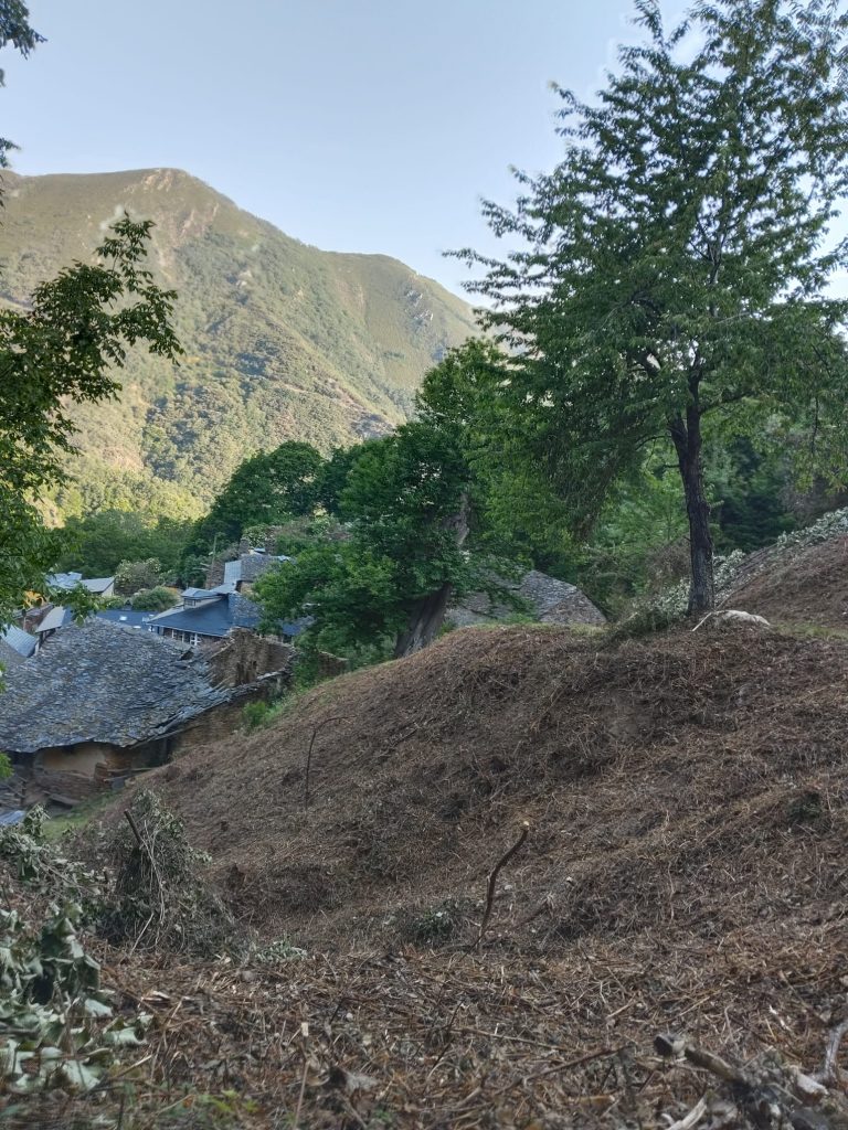Ponferrada reconoce el trabajo de las Juntas Vecinales en el mantenimiento de caminos y la prevención de incendios
