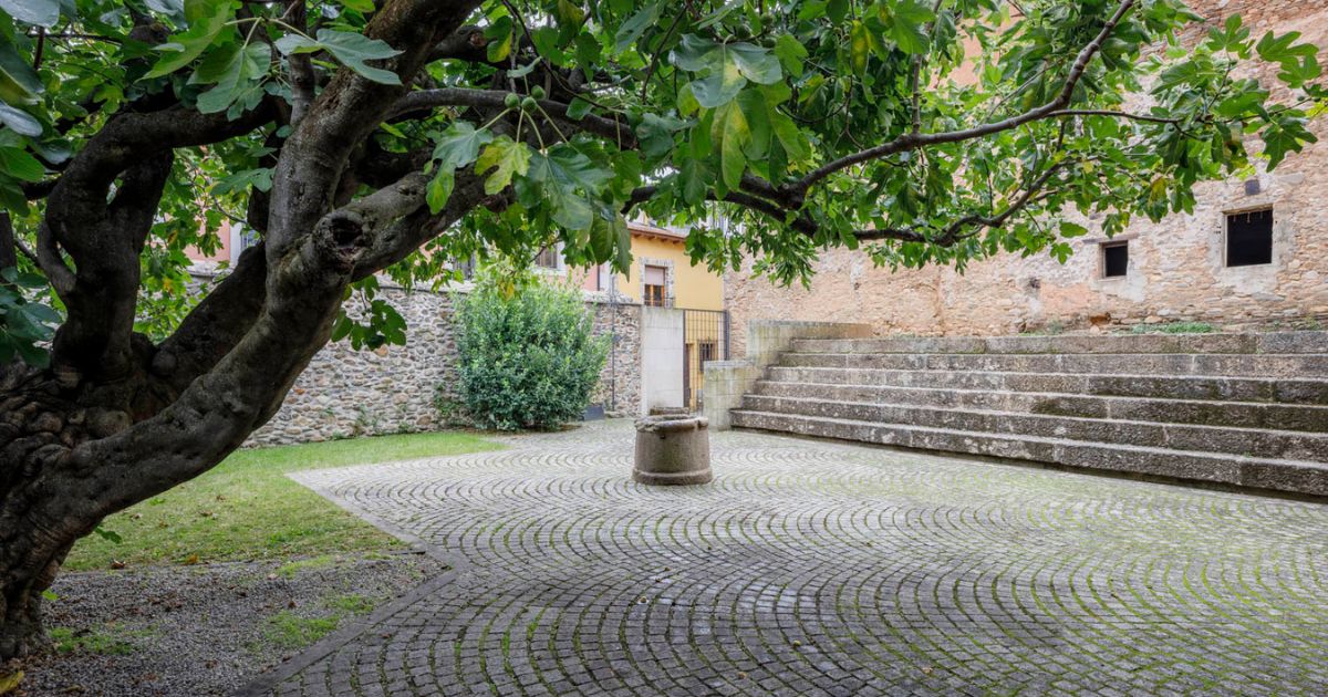 A la sombra de la higuera | Museo del Bierzo | Ponferrada | Portal Bierzo