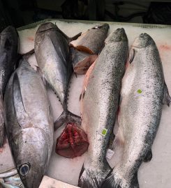 Pescados y Mariscos Vázquez