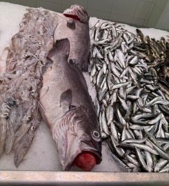 Pescados y Mariscos Vázquez