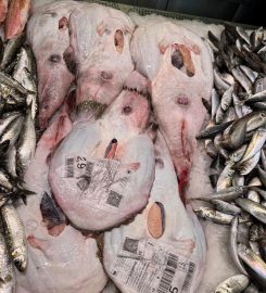 Pescados y Mariscos Vázquez