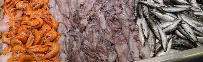 Pescados y Mariscos Vázquez | Portal Bierzo